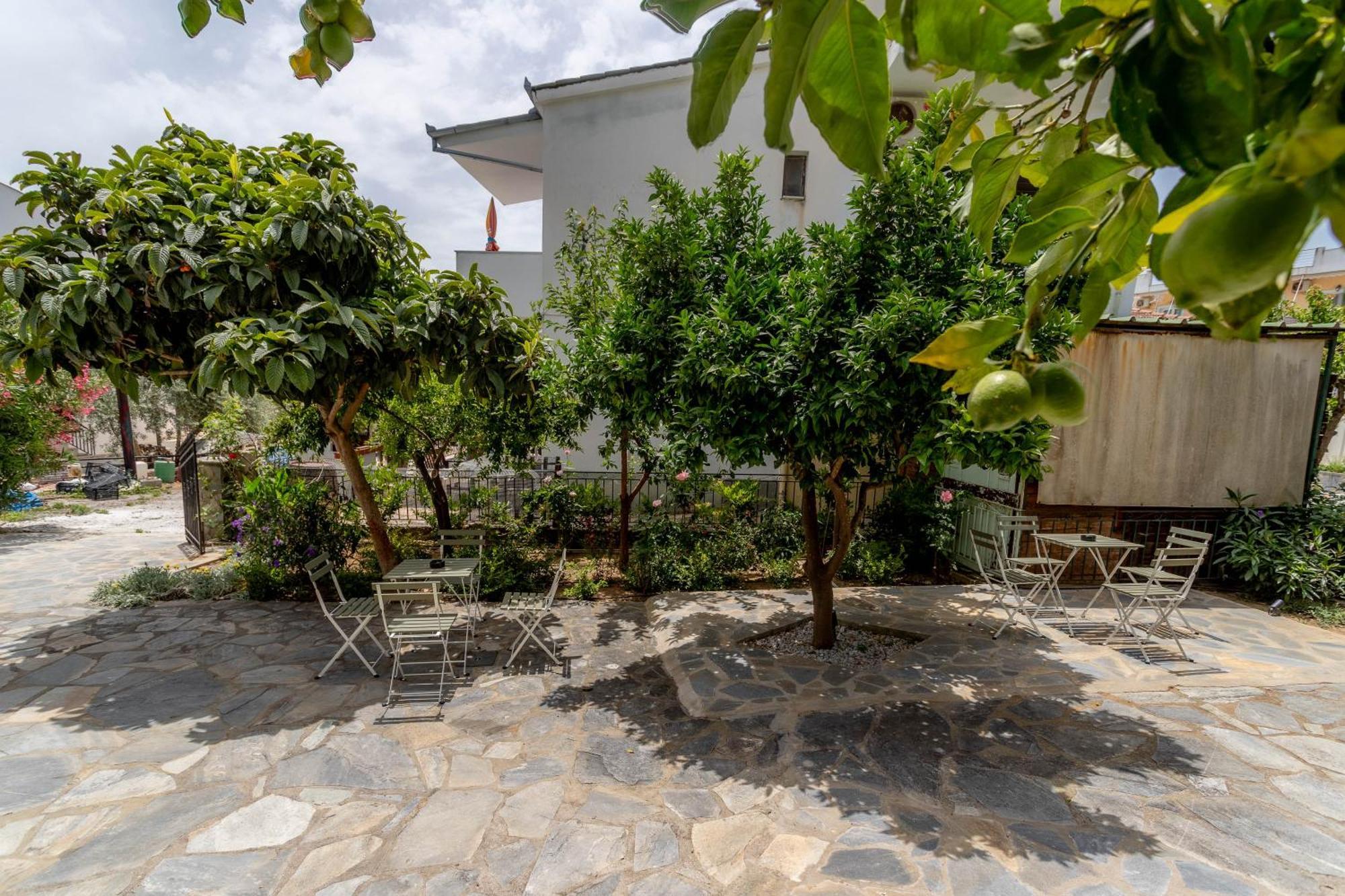 Pteleo Apartments Pteleos Ngoại thất bức ảnh